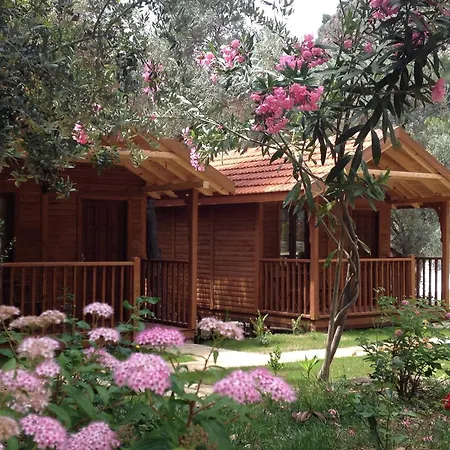 Kidrak Montenegro-1 Guest house *