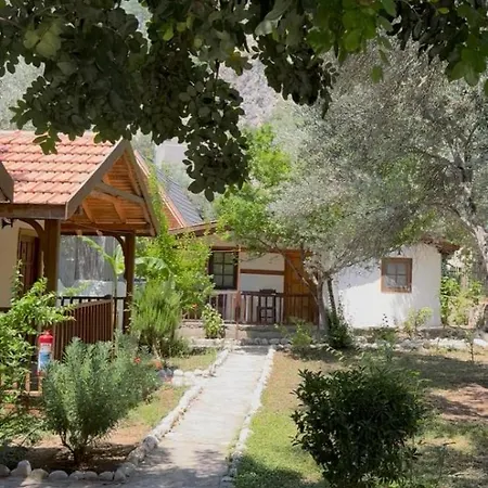 Kidrak Montenegro-1 Guest house *