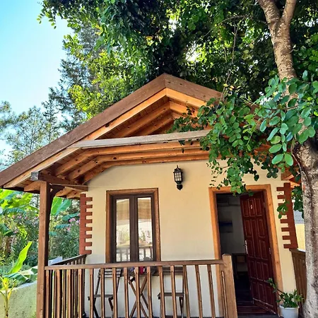 Guest house Kidrak Montenegro-1