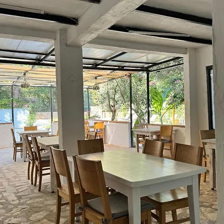 Kidrak Montenegro-1 * Faralya