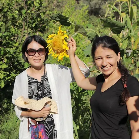 Guest house Kidrak Montenegro-1 Faralya