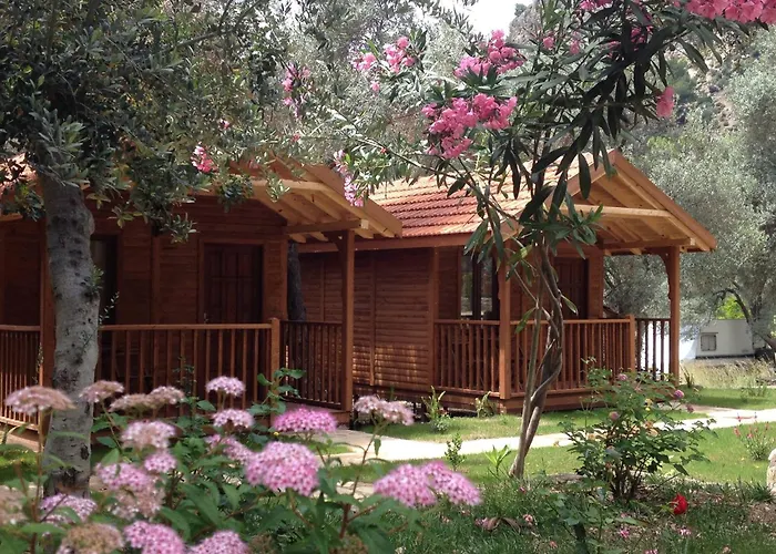 Kidrak Montenegro-1 בית הארחה *