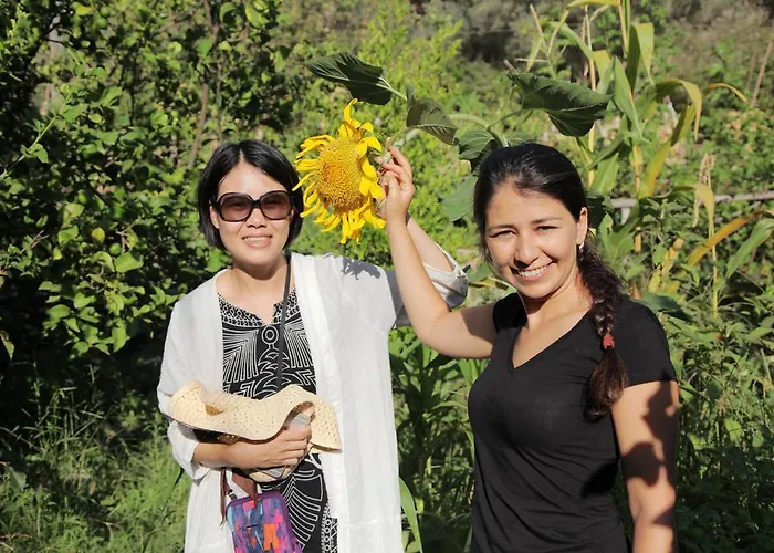 Gæstehus Kidrak Montenegro-1 Faralya