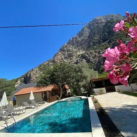 Kidrak Montenegro-1 Faralya