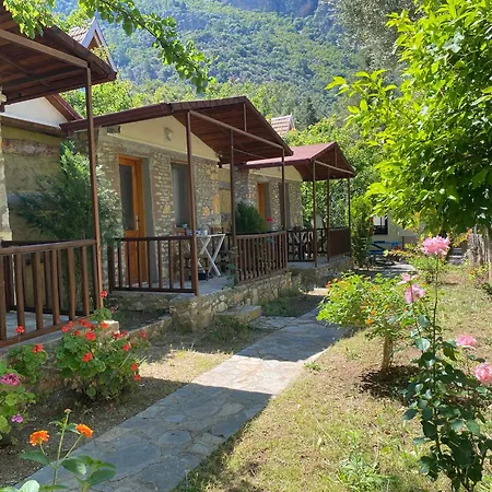 Kidrak Montenegro-1