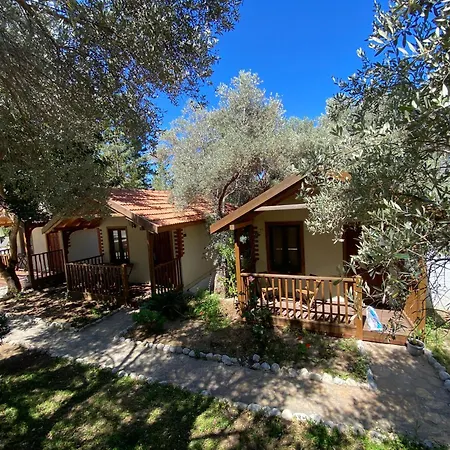 Kidrak Guest house