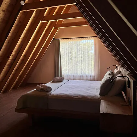 Kidrak Montenegro-1 * 파랄리아