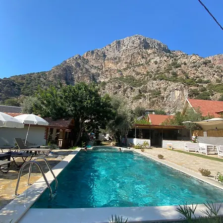 Kidrak Montenegro-1 * ファラリア