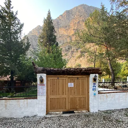 Kidrak Montenegro-1