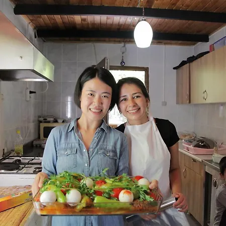 게스트하우스 Kidrak Montenegro-1 *