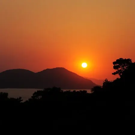 Kidrak Montenegro-1 파랄리아