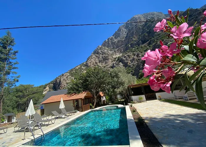 Kidrak Montenegro-1 Фаралия