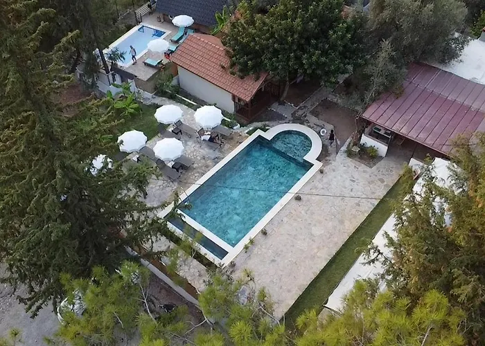 Kidrak Montenegro-1 Гостевой дом Фаралия