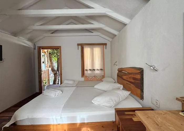 Penzion Kidrak Montenegro-1 *