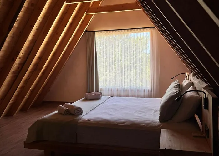 Kidrak Montenegro-1 * Faralya