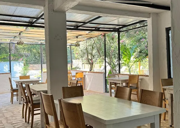 Kidrak Montenegro-1 * ファラリア