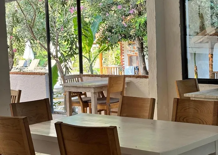 Kidrak Montenegro-1 *