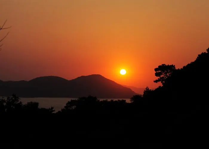 Kidrak Montenegro-1 Faralya